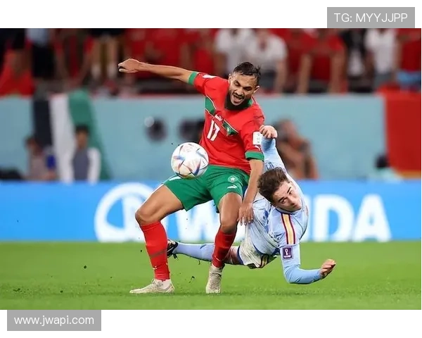 阿什拉夫恩里克战术核心