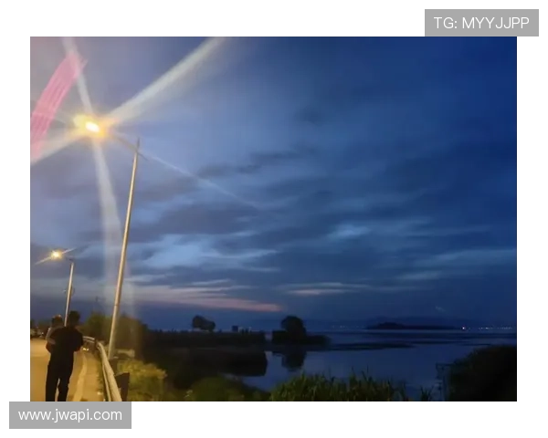 凌晨四点的洛杉矶见过他，但没见过他刷信用卡的样子